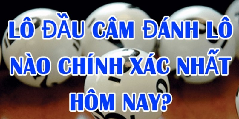 Bạc nhớ đầu câm ABC8 là gì?