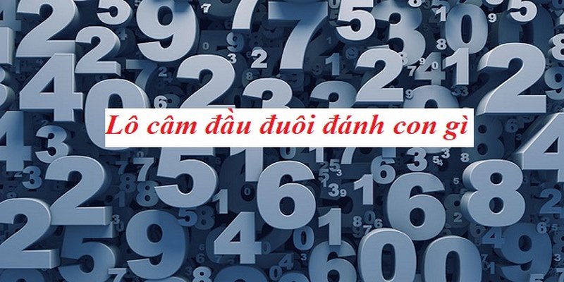 Bật mí cách soi cầu bạc nhớ đầu câm bất bại